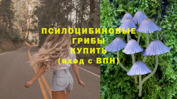 PSILOCYBIN Заволжск