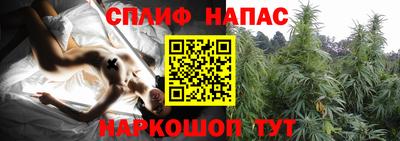 стафф Балаково