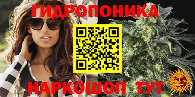 стафф Балаково