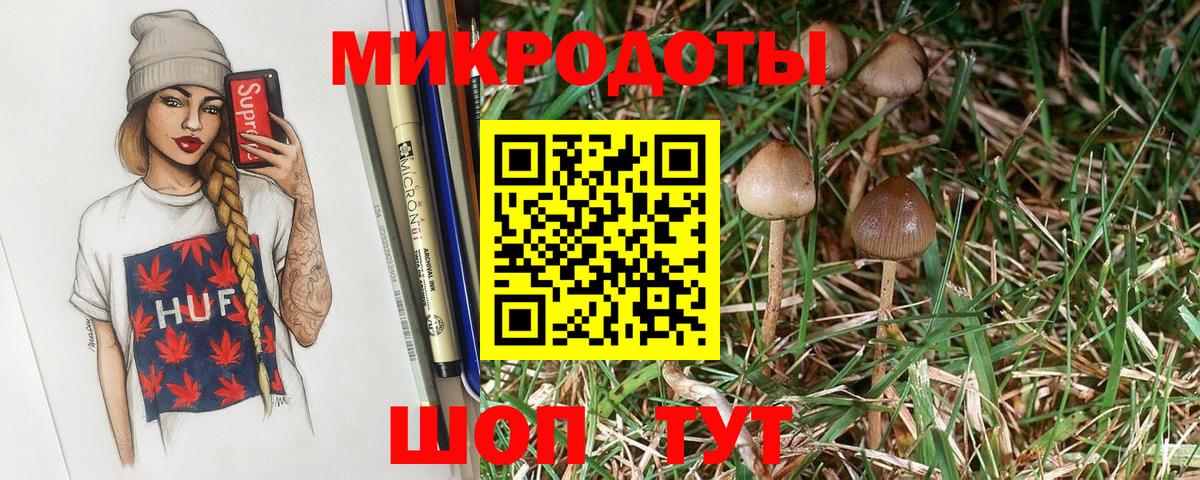 Псилоцибиновые грибы Magic Shrooms  Богданович  Галлюциногенные грибы Magic Shrooms 
