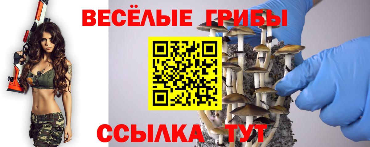 Галлюциногенные грибы MAGIC MUSHROOMS  Вход с VPN  Галлюциногенные грибы Cubensis  Богданович 